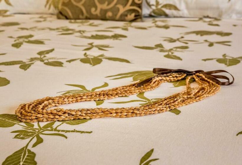 فندق The Old Wailuku Inn At Ulupono