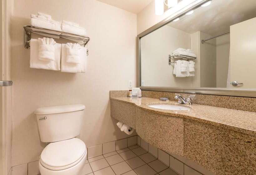 호텔 Wingate By Wyndham Charlotte Concord Mills/speedway