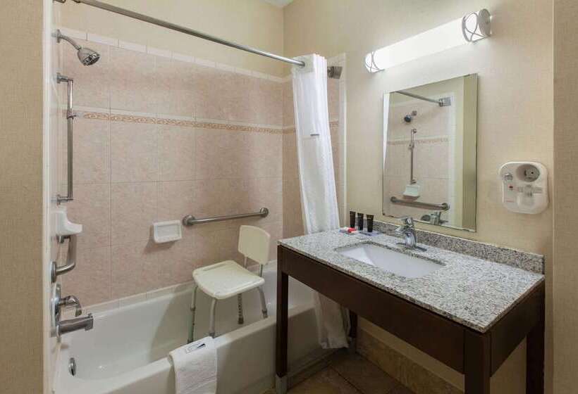 هتل Wingate By Wyndham Houston / Willowbrook