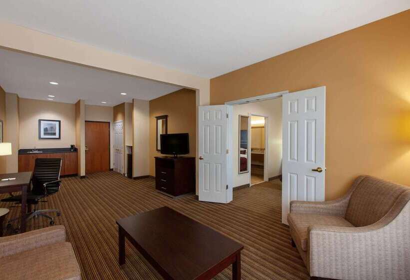 هتل Wingate By Wyndham Houston / Willowbrook