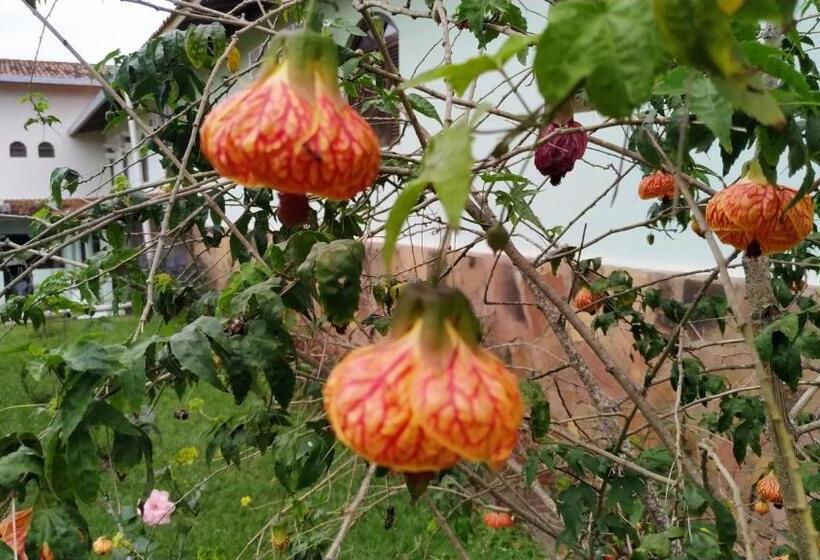 酒店 Pousada Ecológica Das Bromélias