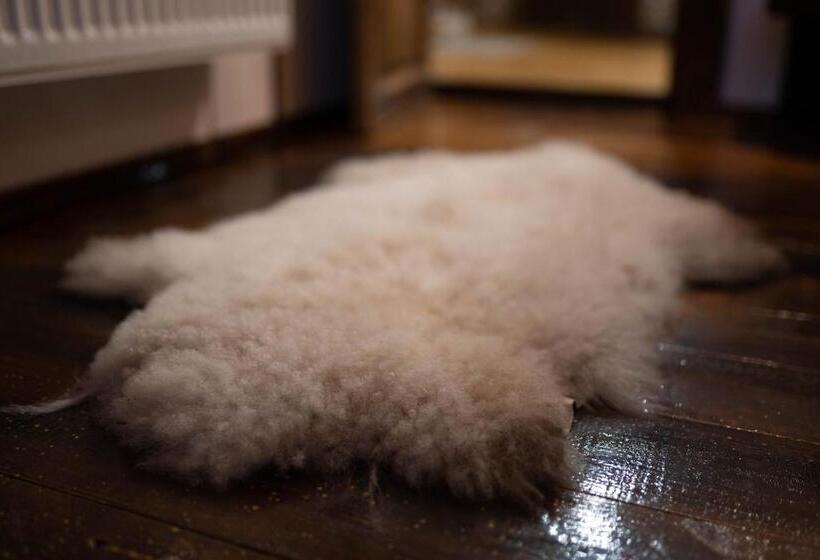 بنسيون Casa Margau