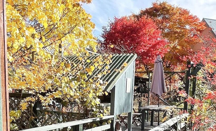 بنسيون Gallery Hara And Guest House