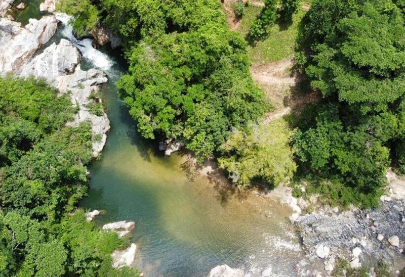 پانسیون Manakin Tayrona