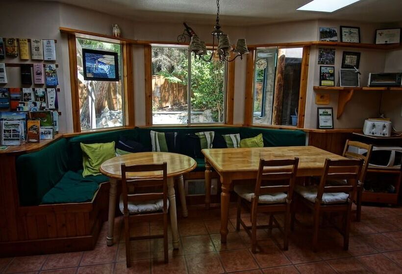 فندق صغير Up The Creek Backpacker's Lodge
