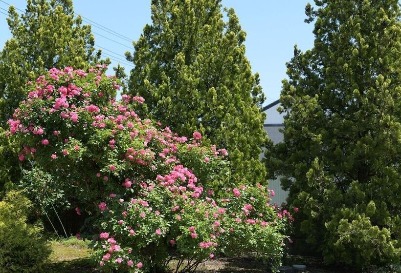 بنسيون Guesthouse Kizuna