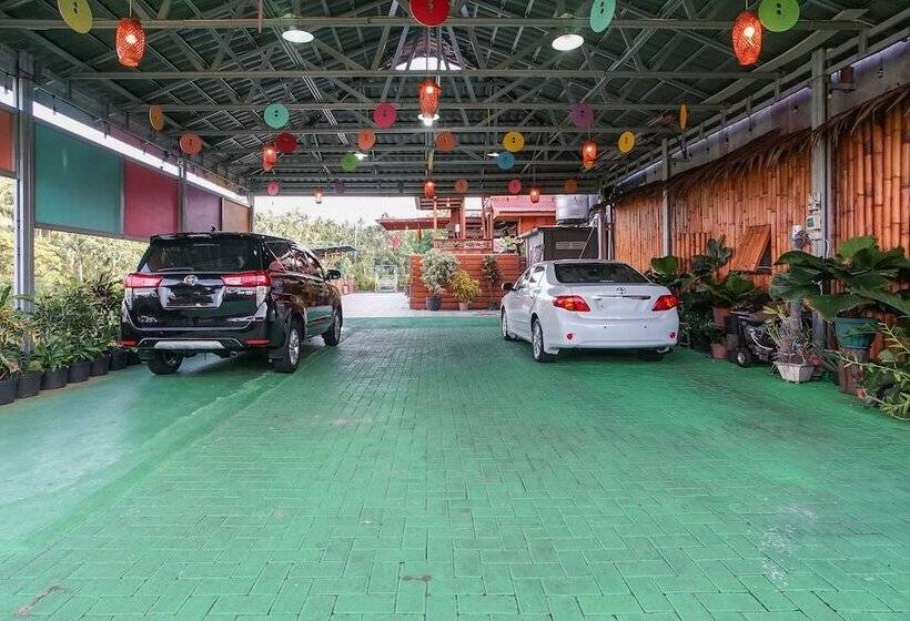 بنسيون Villa Robert