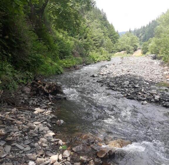 فندق صغير Dzherelo