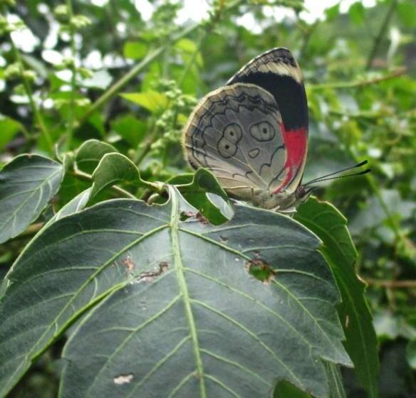 هاستل Rumi Wilco Ecolodge & Nature Reserve Cabañas & Camping