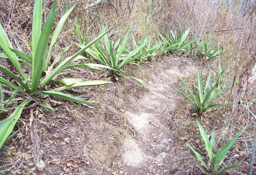 هاستل Rumi Wilco Ecolodge & Nature Reserve Cabañas & Camping