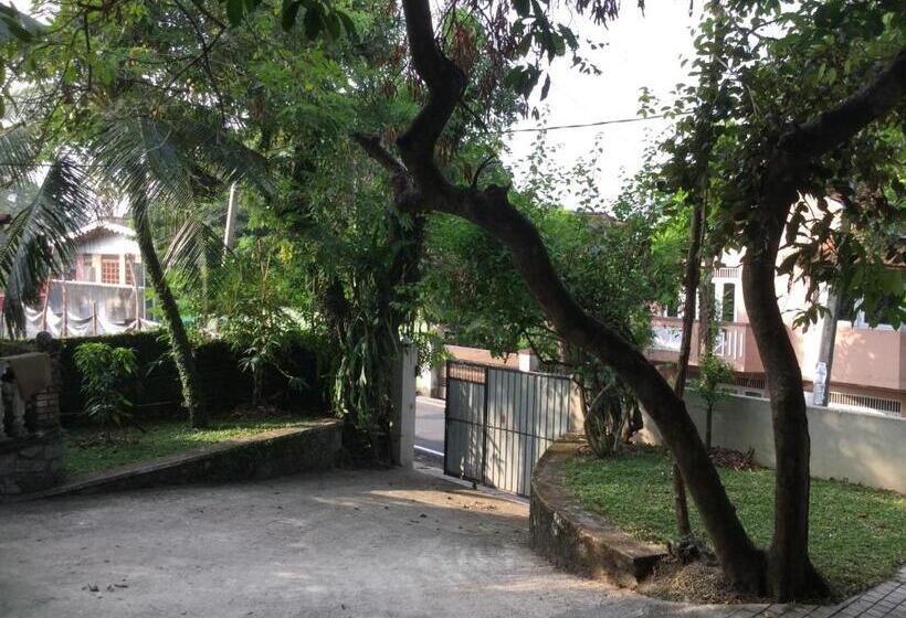 住宿加早餐  Avondale Colombo