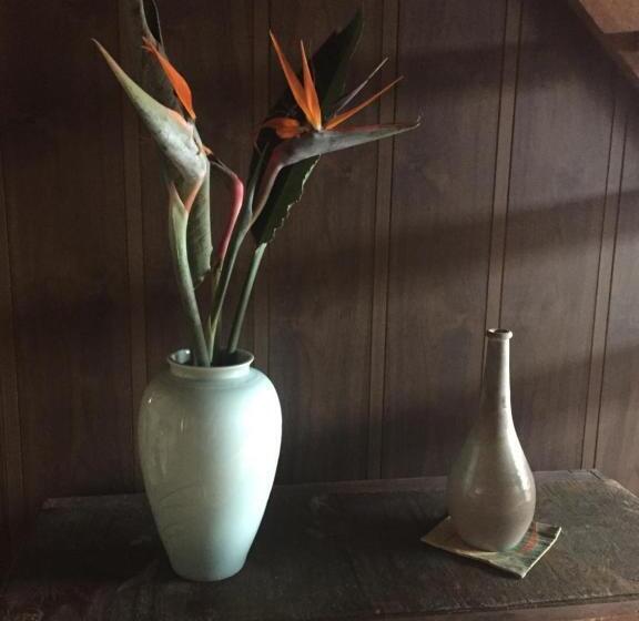 مبيت وإفطار Guest House Mitsuka