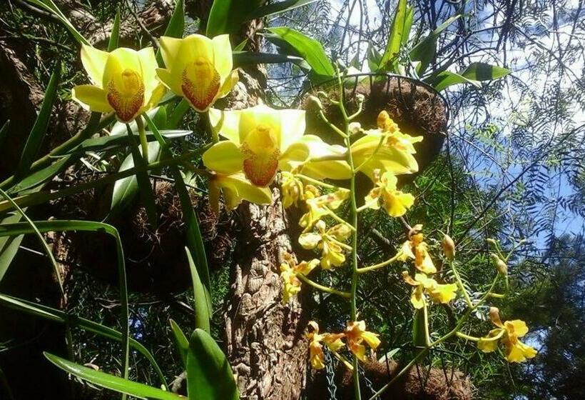 Пансион Casa Del Aguacate Cumbaya Tumbaco