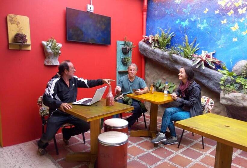 פנסיון Hostal Macondo Inn
