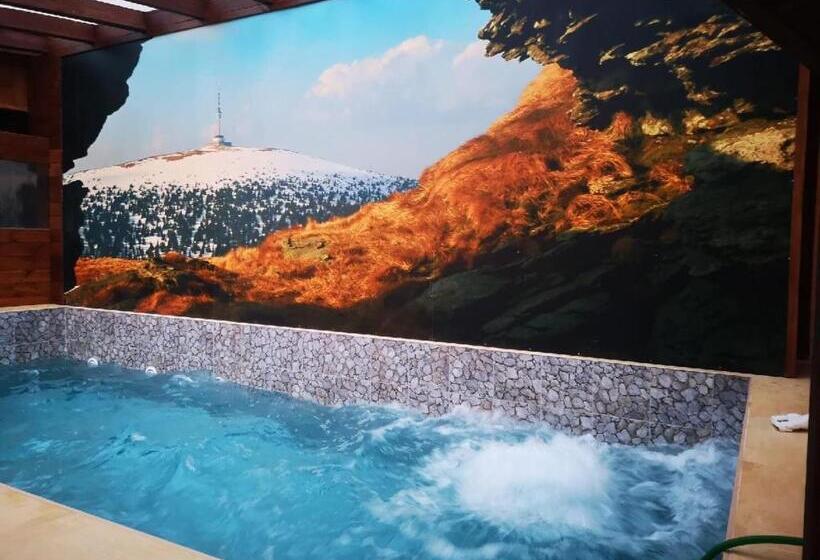 بنسيون Wellness Penzion Stonozka