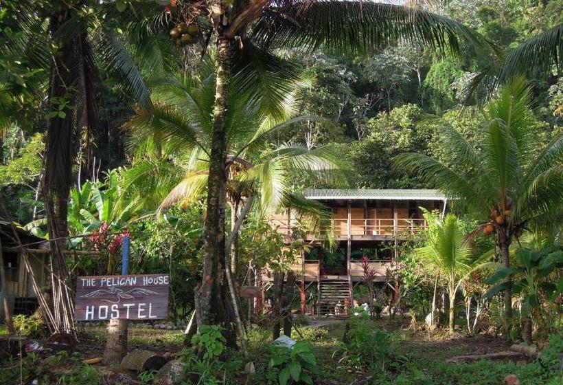 بنسيون The Pelican House Hostel