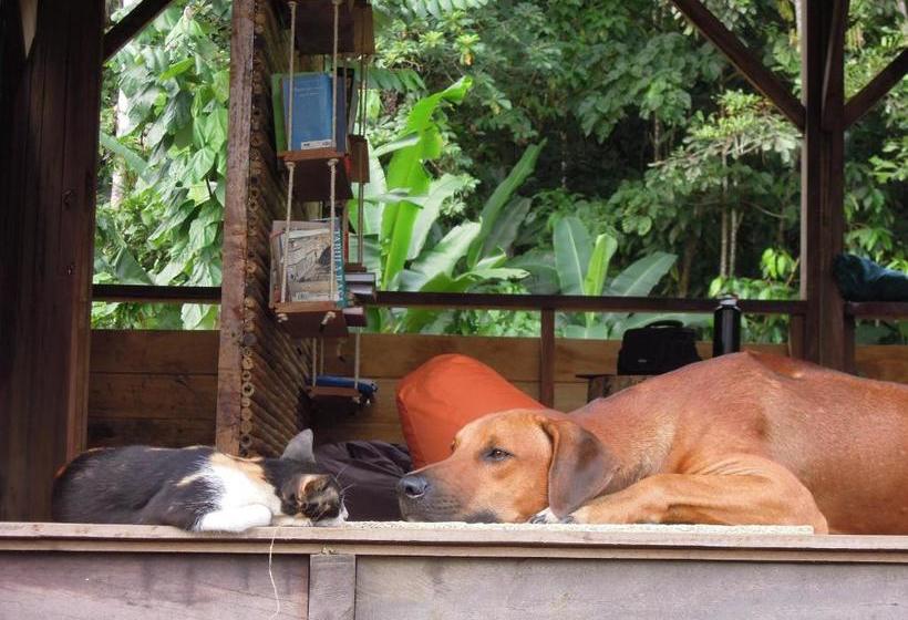 بنسيون The Pelican House Hostel