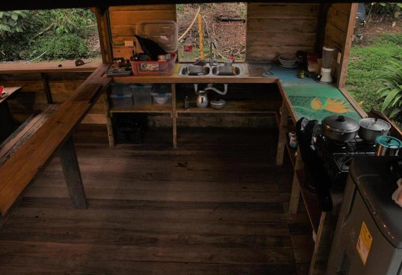 بنسيون The Pelican House Hostel