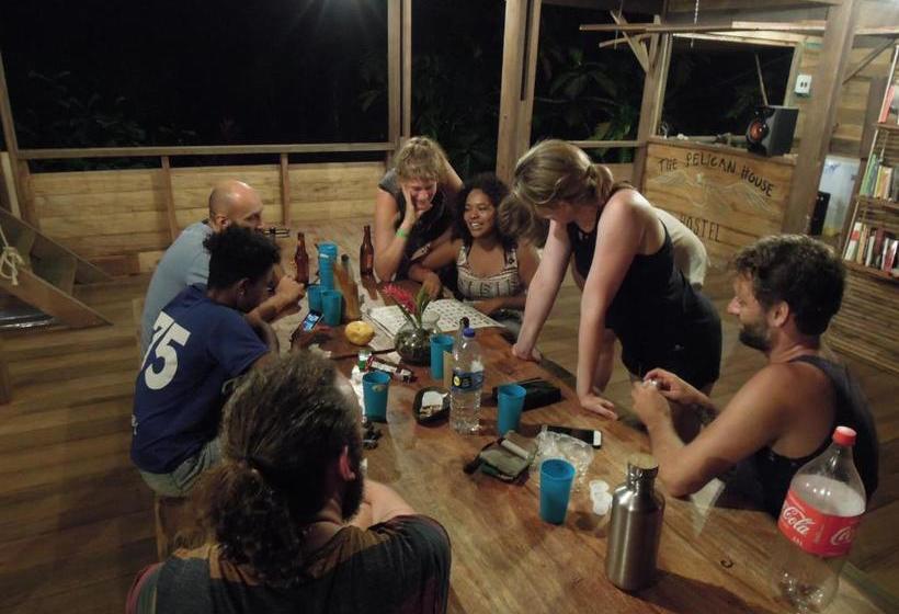 بنسيون The Pelican House Hostel