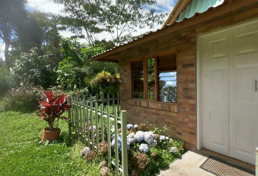 Пансион Tribu Ecohostal