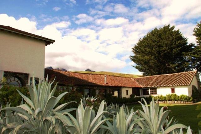 הוסטל Hacienda Santa Ana