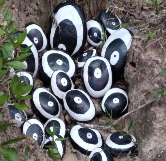 旅馆 Pousada Do Pequi