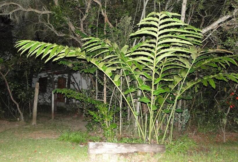 旅馆 Pousada Do Pequi