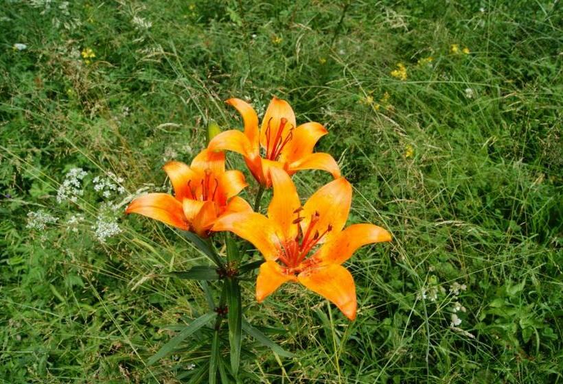 Gasthof Pension Leitner