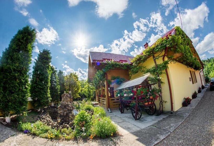 پانسیون Casa Andreea