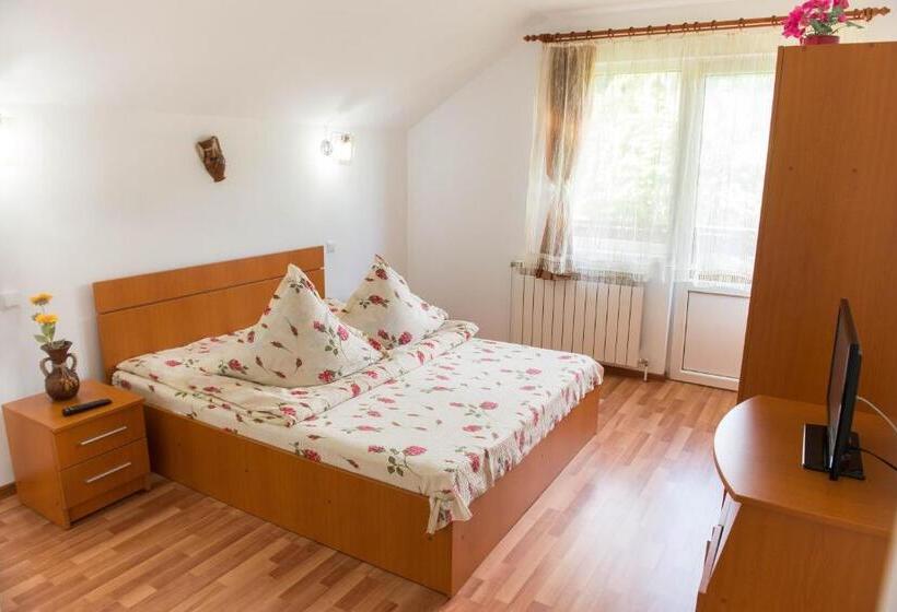 پانسیون Casa Andreea