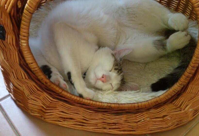 פנסיון Chalupa Sonja