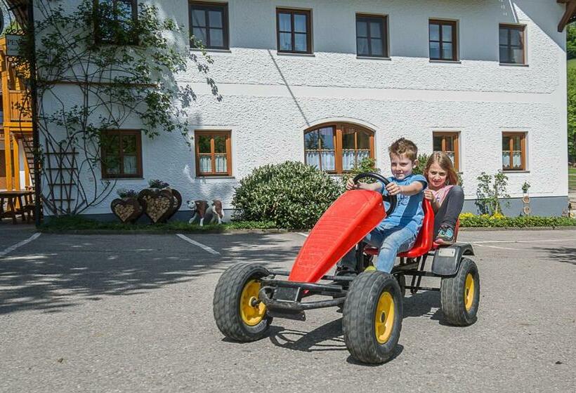 ペンション Ferienhof Pfaffenlehen