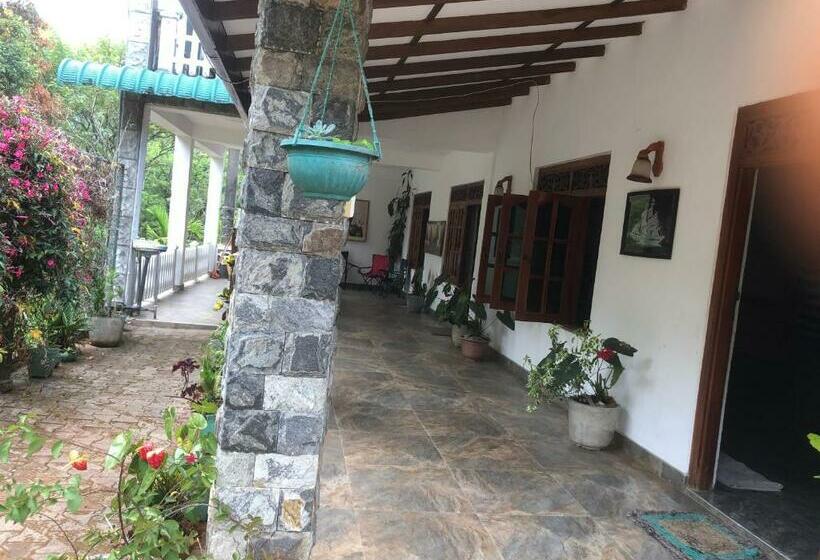 Pension Hamadhi Guest