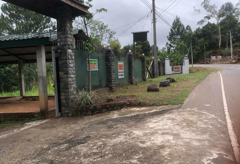 Pension Hamadhi Guest