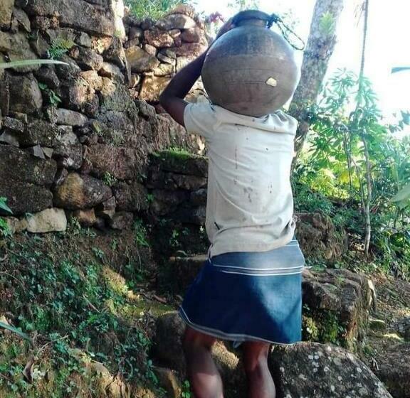 Pension Hamadhi Guest