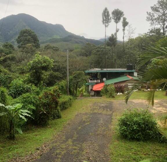 Pension Hamadhi Guest