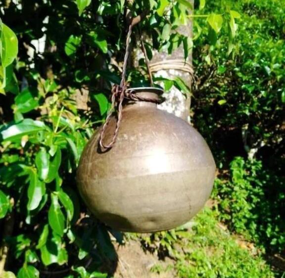 Pension Hamadhi Guest