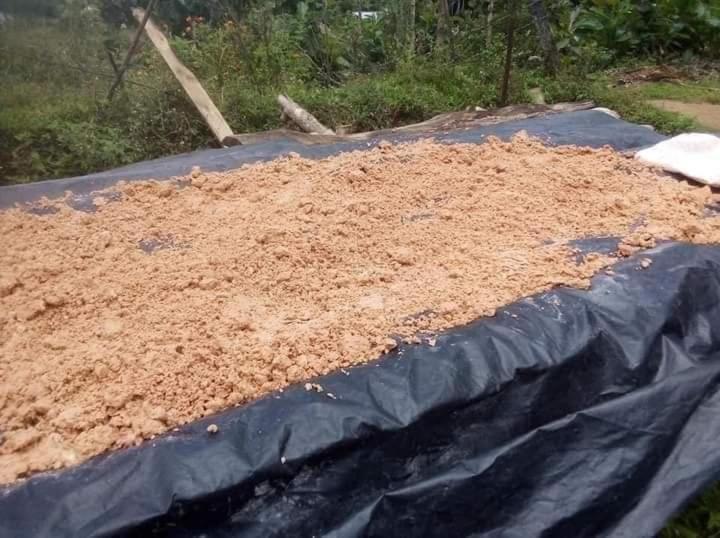 Pension Hamadhi Guest