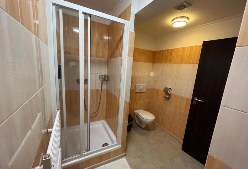 Пансион Penzion Statek Bernard