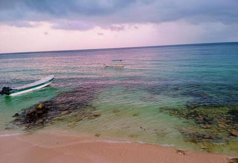 Пансион Playa Tortuga Cabaña