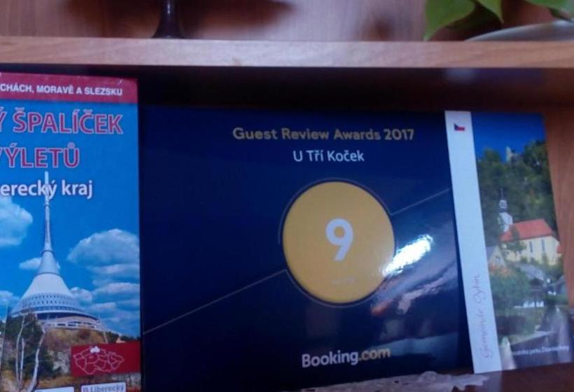 ペンション U Tří Koček