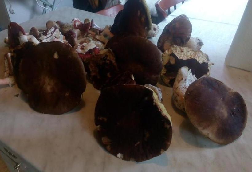 ペンション U Tří Koček