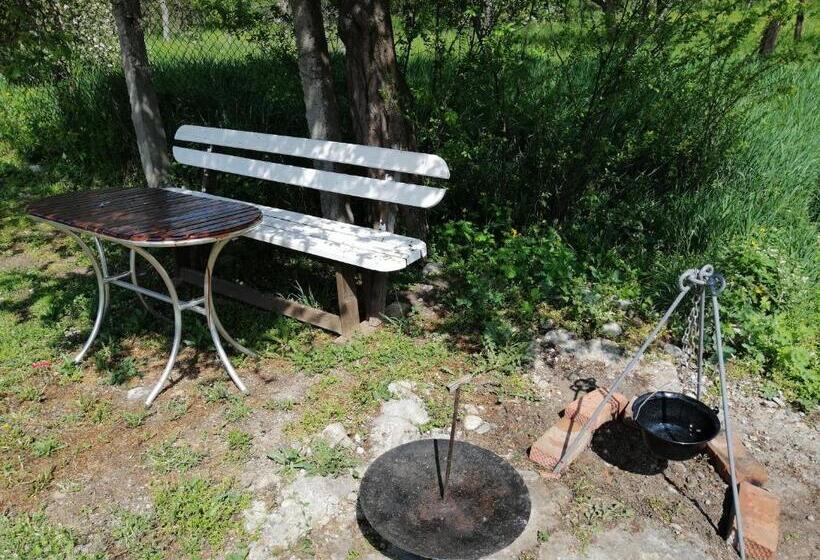 پانسیون Vila La Izvorul Putinei
