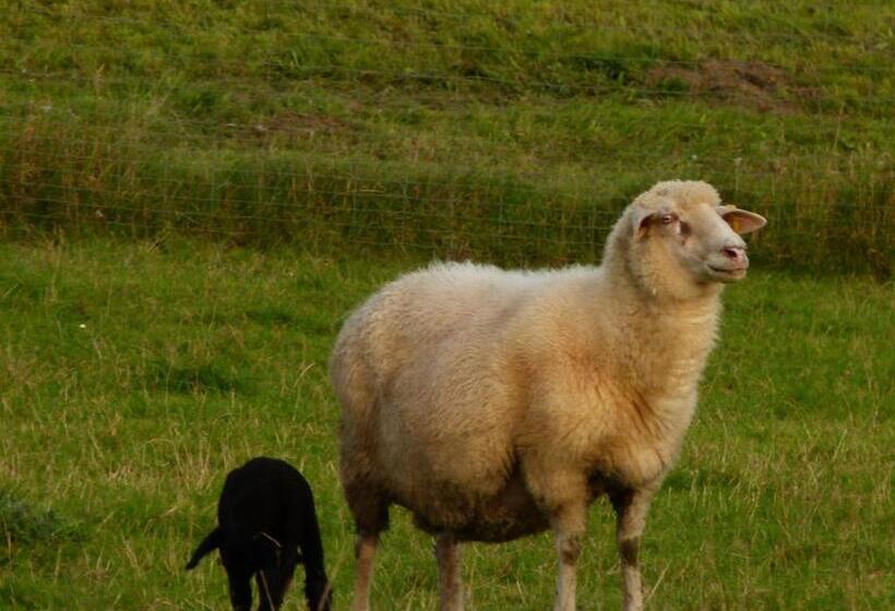 ユースホステル Landgasthof Entenwirt Tarsdorf