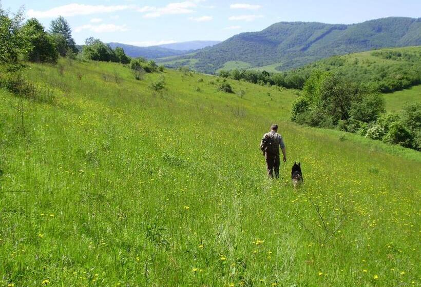 ユースホステル Lian Family Hotel & Restaurant