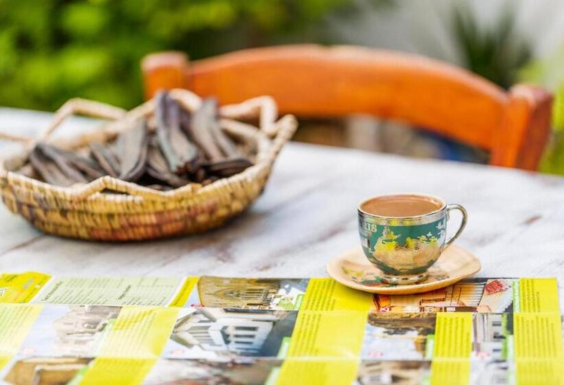 تختخواب و صبحانه Cypriot Swallow Boutique
