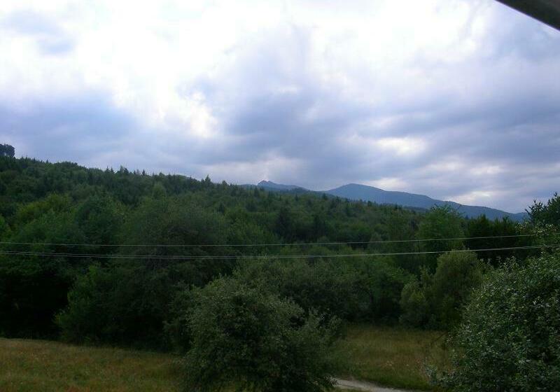 Bed and Breakfast Pensiunea Elena
