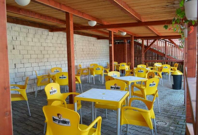 Bed and Breakfast Pensiunea Nemes Panzio