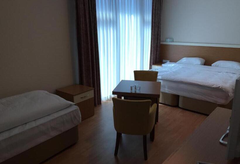 호텔 Emsa Palace
