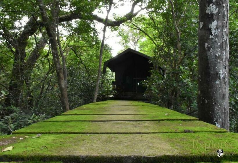 Отель Explorer By Eco Team Wasgamuwa National Park